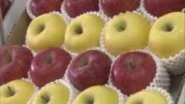 “青森限定”グルメが集まるのは貴重！ＪＲ岡山駅前のデパートで「青森県の物産と観光展」【岡山・岡山市】