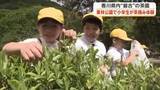「県内最古の茶園がある栗林公園で小学生が「一番茶」の手摘み体験　お茶は葉っぱから…と新たな学び【香川】」の画像1