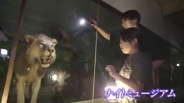 夜の博物館を体験！津山市で「ナイトミュージアム」【岡山】