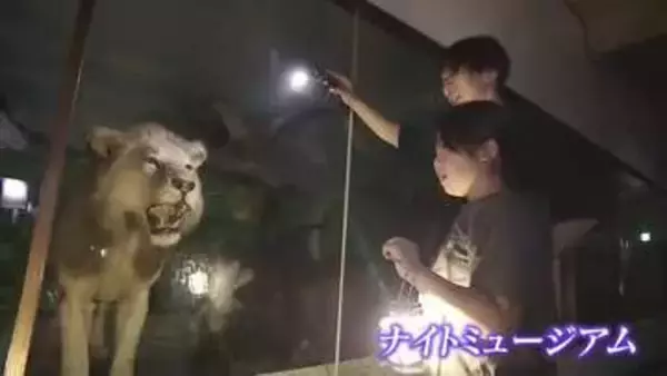 夜の博物館を体験！津山市で「ナイトミュージアム」【岡山】