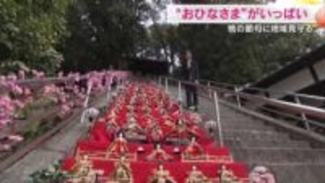ドジャー・ブルーのひな暖も…７０００体以上のおひなさまを飾る「備前片上ひなめぐり」【岡山・備前市】