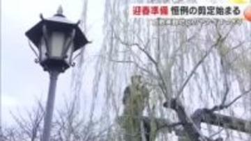 倉敷美観地区で約１４０本のヤナギの剪定作業始まる　迎春に向け“すっきり”とした姿に【岡山・倉敷市】