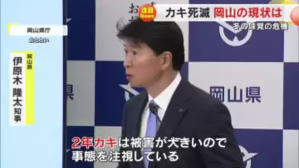 全国的な「冬の味覚」カキの死滅　岡山県でも１割～７割程度の死滅に伊原木知事は「事態を注視」【岡山】