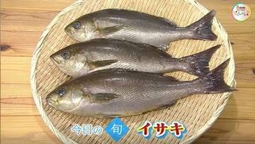 【瀬戸内旬紀行】梅雨が旬！脂が乗った白身魚「イサキ」　上品な甘みともちもち食感を刺身で【岡山・香川】