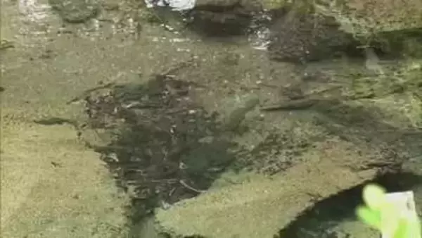 【涼を求めて】３）自然が育んだ湧き水を手ですくい喉元へ…日本の名水百選・塩釜の冷泉【岡山・真庭市】