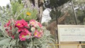 フラワーアートや迷路も…岡山市の池田動物園を約３万本の花で彩る「動物たちと花フェス」始まる【岡山】