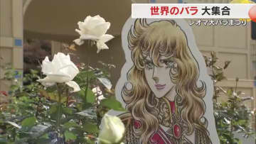 世界の約４００品種のバラが華やかに…丸亀市のレジャー施設で「秋の大バラ祭り」２４日まで【香川】