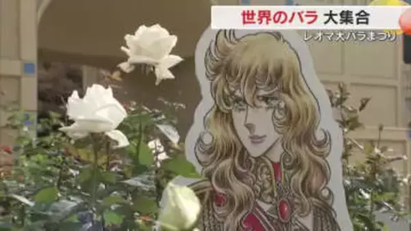 世界の約４００品種のバラが華やかに…丸亀市のレジャー施設で「秋の大バラ祭り」２４日まで【香川】