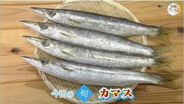 年に２度旬を迎える魚！？「カマス」の魅力は鮮魚のプロおすすめの「塩焼き」で味わえるホクホク食感【瀬戸内旬紀行　岡山・香川発】