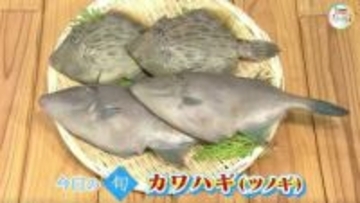 【瀬戸内旬紀行】透き通った白身に絡む肝の旨みは絶品！瀬戸内海の味「カワハギ」【岡山・香川】