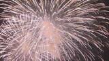 「【速報】今夏のさぬき高松まつり花火大会　打ち上げ発数は前年と同じ６０００発で３０分間実施へ【香川】」の画像1