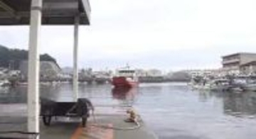 ２０２６年に入り２回目の命令…四国運輸局がたどつ汽船に「輸送の安全確保に関する命令文書」【香川】