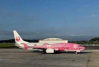 【台風６号】ＪＴＡ　岡山～沖縄・那覇線　あす（６月１日）欠航　中国地方では広島と岩国発着便も欠航