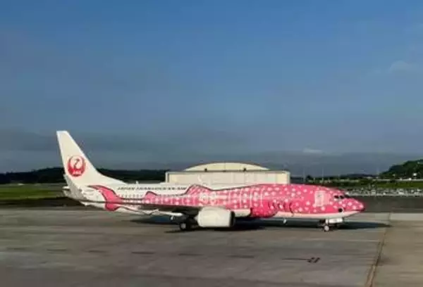 【台風６号】ＪＴＡ　岡山～沖縄・那覇線　あす（６月１日）欠航　中国地方では広島と岩国発着便も欠航