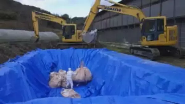 東かがわ市の養鶏場で発生の鳥インフルエンザ　一連の防疫措置完了と県が発表【香川】