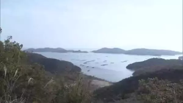 【養殖カキ大量死問題】岡山県が瀬戸内・備前両市の養殖海域で塩分濃度２４時間計測　６月下旬から【岡山】