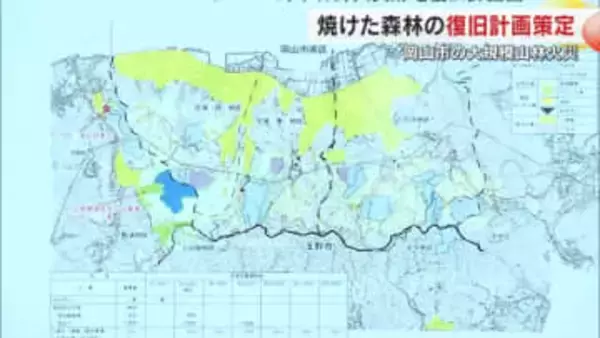 岡山県が岡山市南区で発生の大規模山林火災からの復旧計画を策定　総事業費見込みは約１６億円【岡山】
