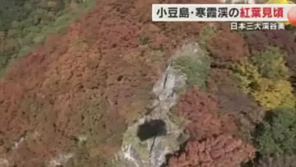 【映像あり】紅葉と渓谷美を上空から楽しめる…香川を代表する紅葉スポット・小豆島　寒霞渓の紅葉【香川】