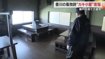 「あしたから飯が食えない」東讃の冬の風物詩・カキ小屋も営業できず「養殖カキ大量死問題」の影響【香川】