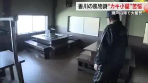 「あしたから飯が食えない」東讃の冬の風物詩・カキ小屋も営業できず「養殖カキ大量死問題」の影響【香川】