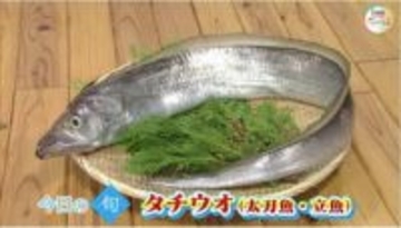 【瀬戸内旬紀行】銀色に輝く“ドラゴン”の正体は？今が旬の「タチウオ」の味わい方【岡山・香川】