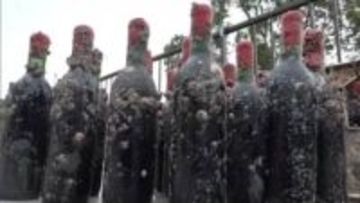 水深約１０メートルで半年間熟成…ワインの味わいは？小豆島の海底に沈めたワインの引き揚げ作業【香川】