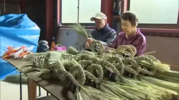 津山市の夫婦が伝統守る…岡山県北部の正月飾り「作州飾り」作り最盛期【岡山】