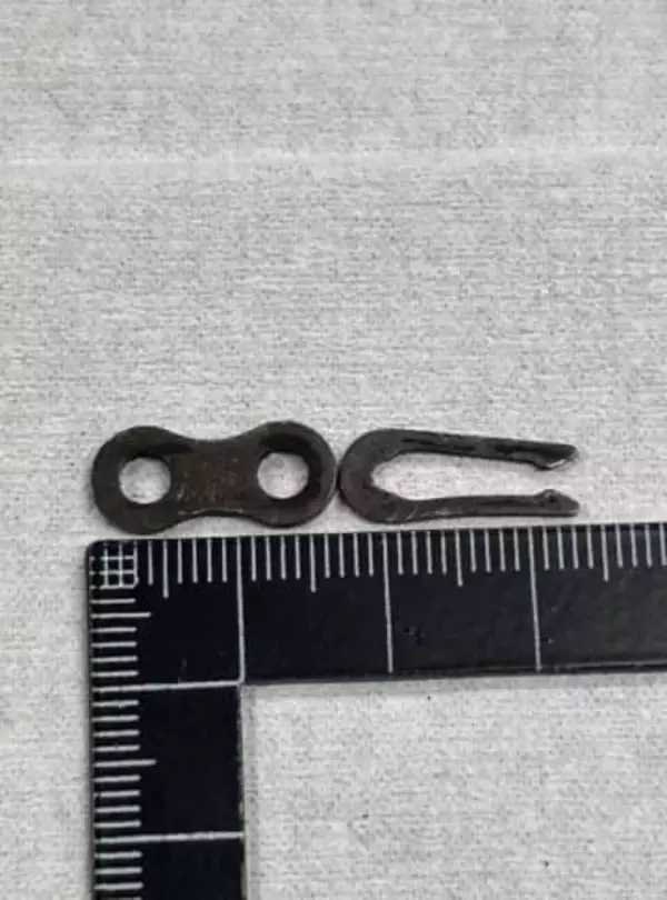 多度津町など１市２町給食センターでフライヤーの部品なくなる　１校で児童が口に違和感…関連調べ【香川】