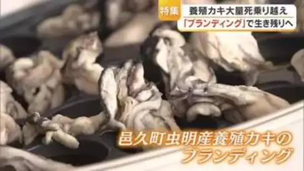 養殖カキ「大量死」を乗り越えて…「ブランディング」で生き残り！「邑久」のカキ認知度アップを目指す地元漁協の取り組み【岡山発】
