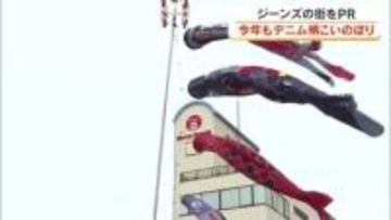 「デニム柄こいのぼり」空を泳ぐ！国産ジーンズ発祥地・倉敷市児島地区で地元園児ら参加し掲揚式【岡山】