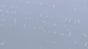 【養殖カキ】香川県でも約５割～９割死ぬ被害　水産庁の聞き取り結果　四国各県の状況掲載【香川】