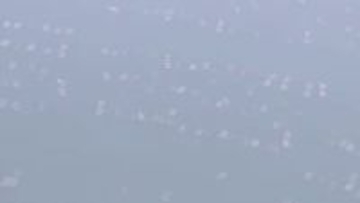 【養殖カキ】香川県でも約５割～９割死ぬ被害　水産庁の聞き取り結果　四国各県の状況掲載【香川】