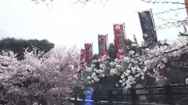 讃岐の春の風物詩「こんぴら歌舞伎」地元・琴平町が町内を彩る役者名入りなど「のぼり旗」寄付募集【香川】