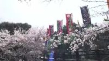 讃岐の春の風物詩「こんぴら歌舞伎」地元・琴平町が町内を彩る役者名入りなど「のぼり旗」寄付募集【香川】