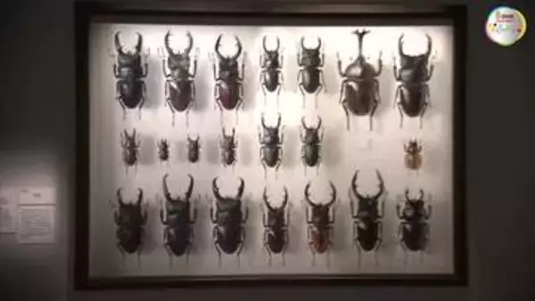 緻密な描写が特徴的な６４点が一堂に…高松市の県立ミュージアムでホキ美術館展【香川】