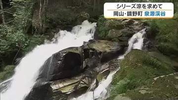 【涼を求めて】９）アマゴつかみ取り…焼き魚も楽しめる鏡野町の隠れた納涼スポット「泉源渓谷」【岡山】