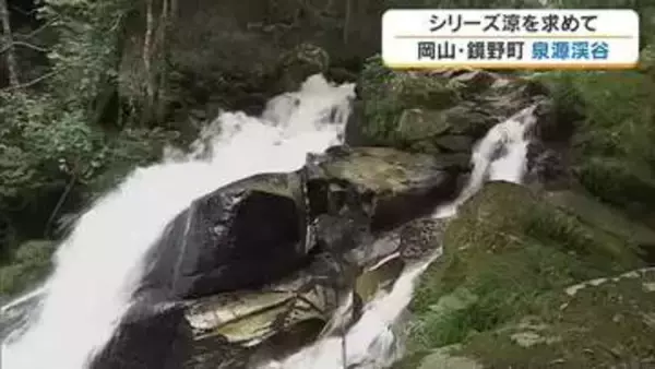 【涼を求めて】９）アマゴつかみ取り…焼き魚も楽しめる鏡野町の隠れた納涼スポット「泉源渓谷」【岡山】