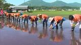 「珍しい酒造好適米「アキヒカリ」全国唯一の産地・真庭市で田植え始まる　４６戸が栽培手がける【岡山】」の画像1