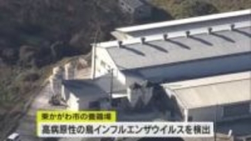 香川県で１年２カ月ぶりの発生　東かがわ市で鳥インフルエンザ確認　県が殺処分開始【香川】