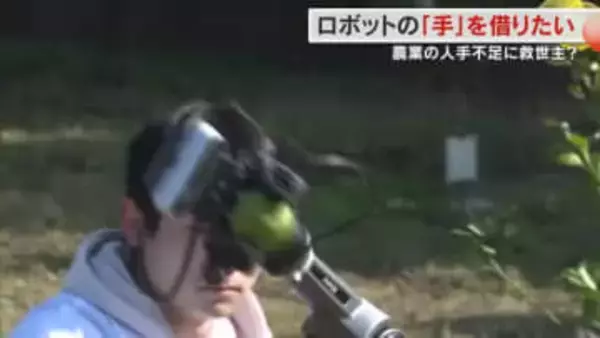 ５年～１０年で完全自動収穫目指す…岡山大などが研究進めるレモン収穫ロボお披露目【岡山】