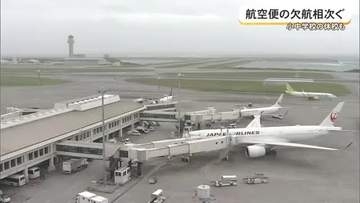 【台風18号】空の便268便欠航、バス・モノレールは25日最終まで運行　17自治体で臨時休校