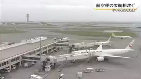 【台風18号】空の便268便欠航、バス・モノレールは25日最終まで運行　17自治体で臨時休校