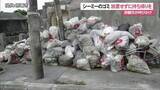 「シーミーのゴミ放置多発　「マナー守って」那覇市が注意喚起」の画像1
