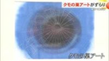 クモの巣アートがずらり！仲程悦子作品展