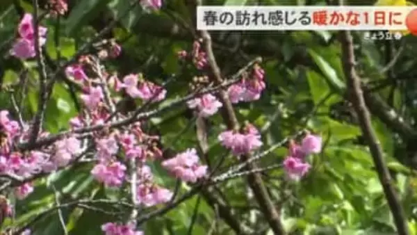 立春のきょう春の訪れ感じる暖かな1日に