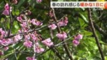立春のきょう春の訪れ感じる暖かな1日に
