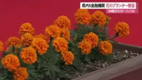 沖縄花のカーニバル県内5金融機関が花のプランター贈る