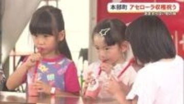 拠点産地の本部町で「アセローラまつり」　甘酸っぱい旬の味を堪能