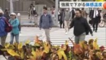 冬型低気圧が発達！沖縄も21日から寒い日が週末まで続く