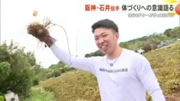 阪神 石井大智投手 読谷村「クーガ芋」畑訪れる 1日から宜野座キャンプイン